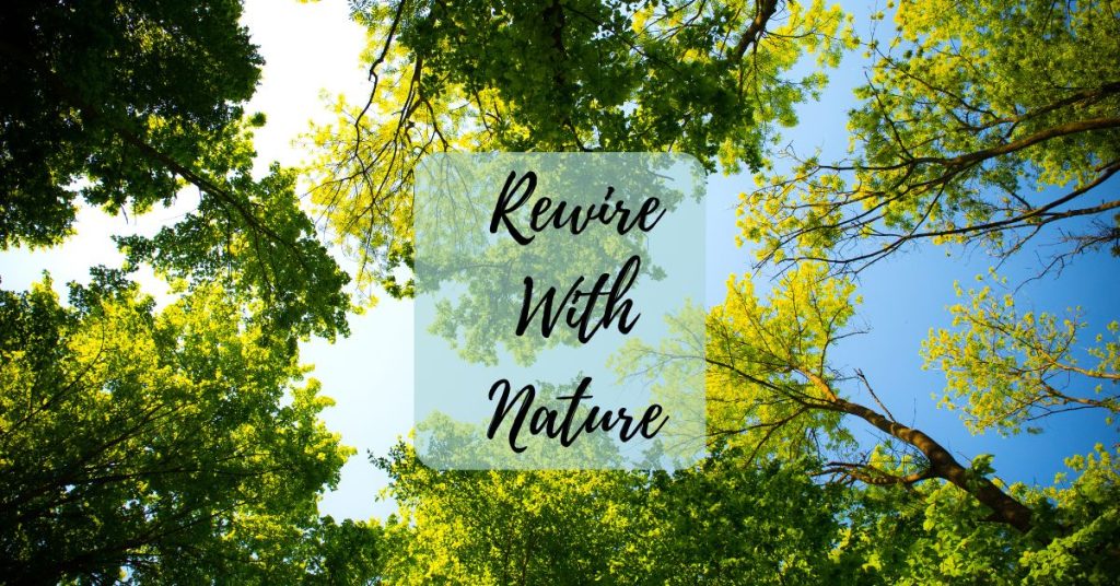 Rewire With Nature